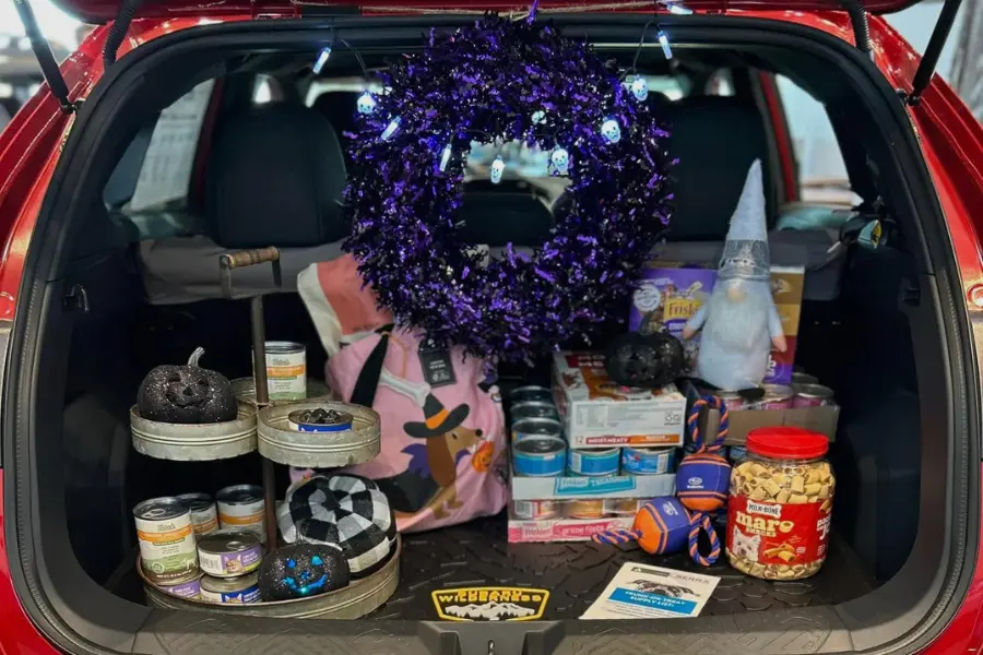 Pet Supplies in the back of a Red Subaru Vehicle.